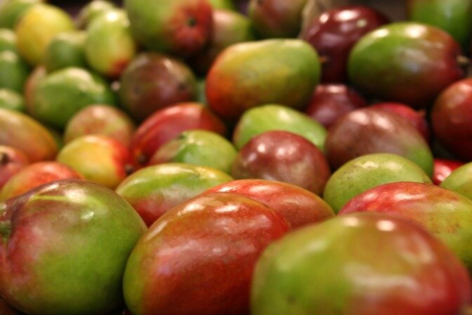 Mangoes ready for market